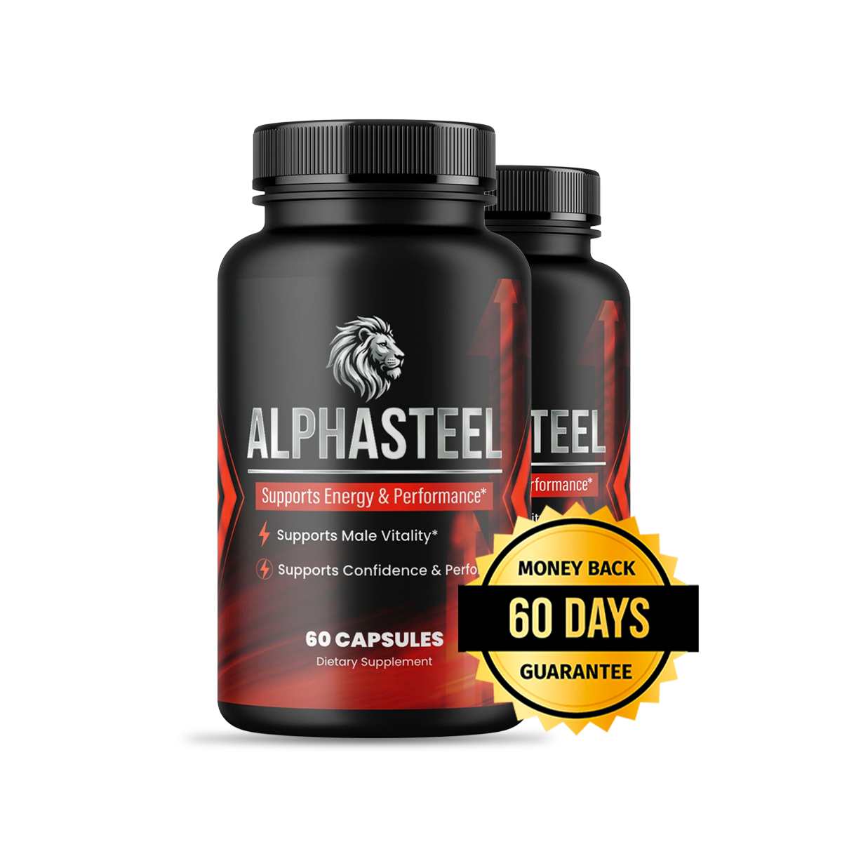 AlphaSteel 2 Bottle